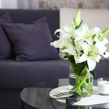 The Bridge Luxury Apartmán *